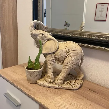 Moderne Mit Stil Grossgerungs